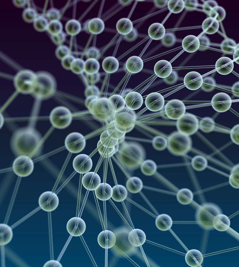 Ośrodek Badań Wczesnych Faz